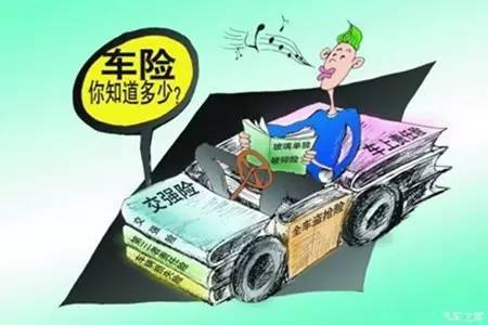 车险到底怎么买半岛体育才是最划算？(图1)