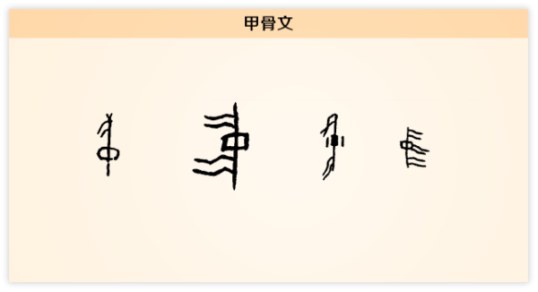 八戒体育：中国政治文明为何是独一份的存在？-张维为、范勇鹏(图1)